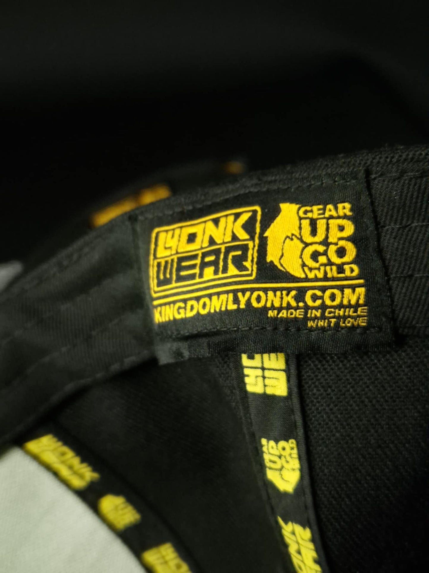 Curved visor cap Big logo Embroidery White