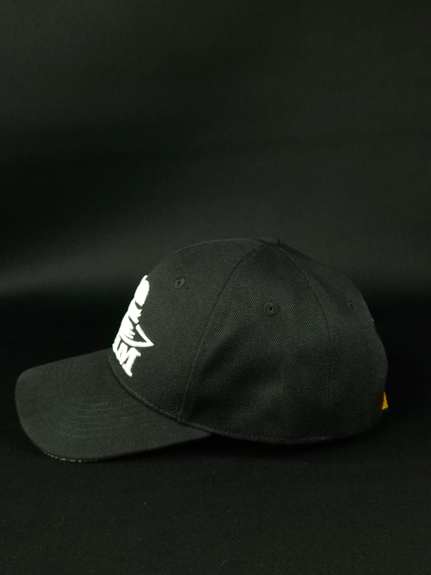 Curved visor cap Big logo Embroidery White