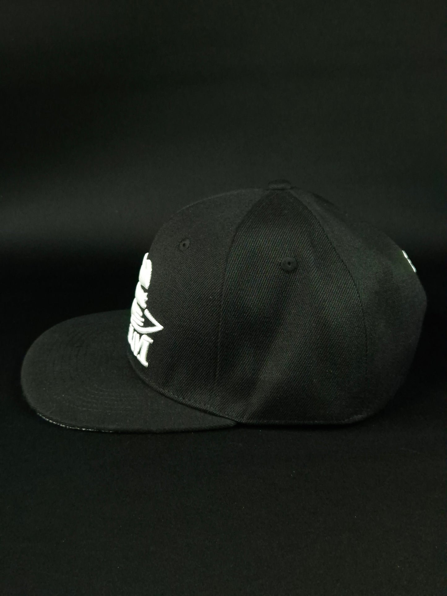 Snapback Big logo Embroidery White